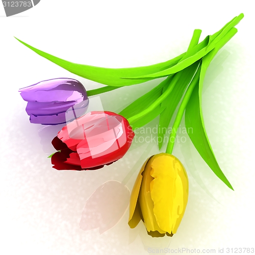 Image of Tulip flower