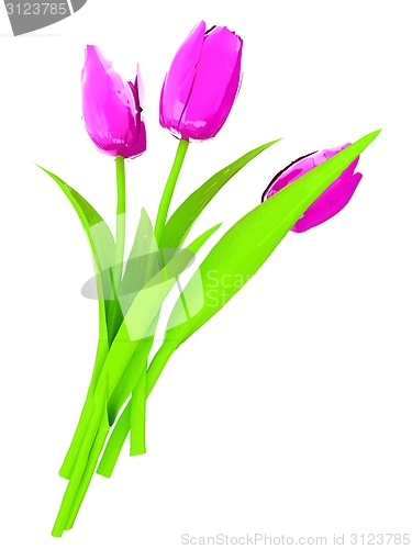 Image of Tulip flower