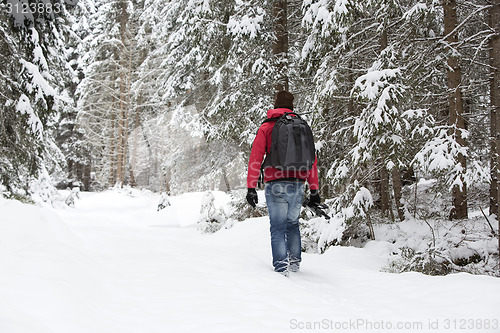 Image of Photographer in winter landscape