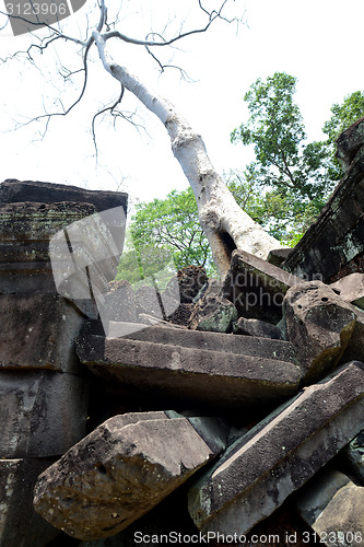 Image of ASIA CAMBODIA ANGKOR TA PROHM