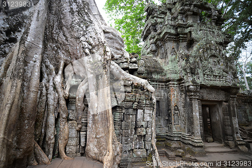 Image of ASIA CAMBODIA ANGKOR TA PROHM