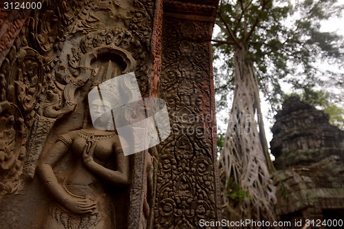 Image of ASIA CAMBODIA ANGKOR TA PROHM