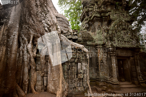 Image of ASIA CAMBODIA ANGKOR TA PROHM