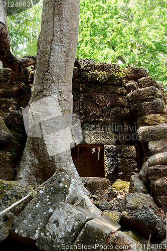 Image of ASIA CAMBODIA ANGKOR PREAH KHAN