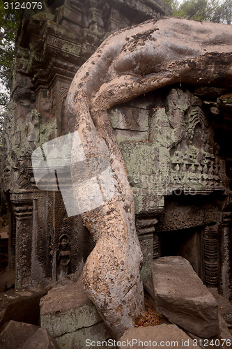 Image of ASIA CAMBODIA ANGKOR TA PROHM