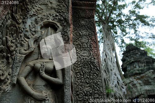 Image of ASIA CAMBODIA ANGKOR TA PROHM