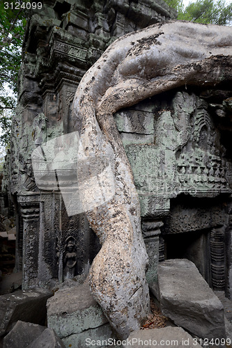 Image of ASIA CAMBODIA ANGKOR TA PROHM