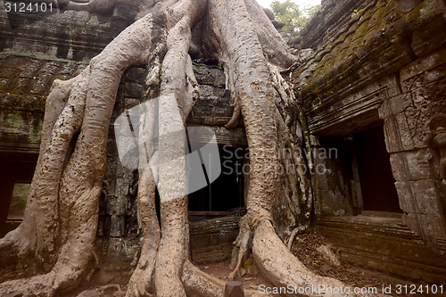 Image of ASIA CAMBODIA ANGKOR TA PROHM