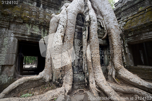 Image of ASIA CAMBODIA ANGKOR TA PROHM