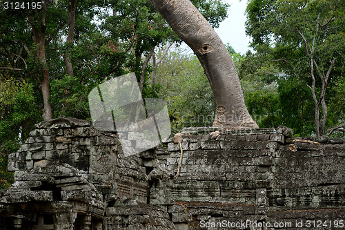 Image of ASIA CAMBODIA ANGKOR PREAH KHAN