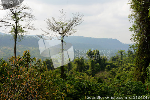 Image of ASIA CAMBODIA ANGKOR KBAL SPEAN