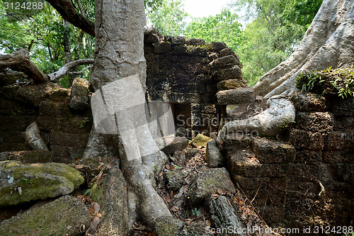 Image of ASIA CAMBODIA ANGKOR TA PROHM