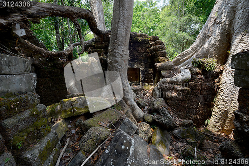 Image of ASIA CAMBODIA ANGKOR TA PROHM