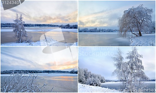 Image of Collage of winter landscapes with trees in hoarfrost