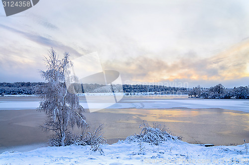 Image of Winter landscape with lake and trees covered with frost