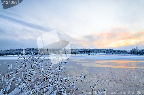Image of Winter landscape with lake and trees covered with frost
