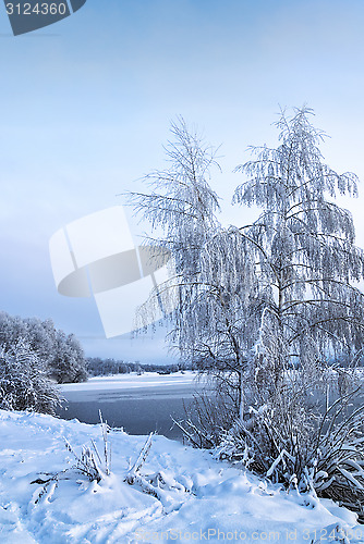 Image of Winter landscape with trees, covered with hoarfrost and lake 