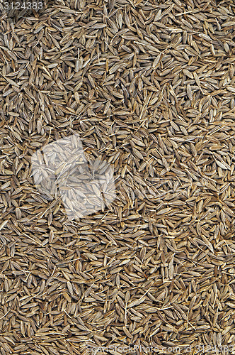Image of Cumin seeds 