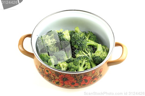 Image of fresh green broccoli isolated 