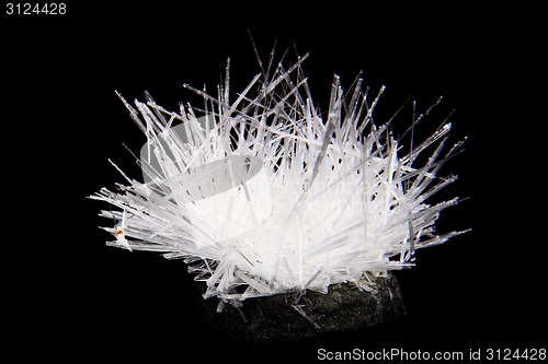 Image of urea (organic mineral)