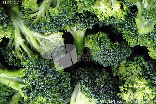 Image of fresh green broccoli as food background