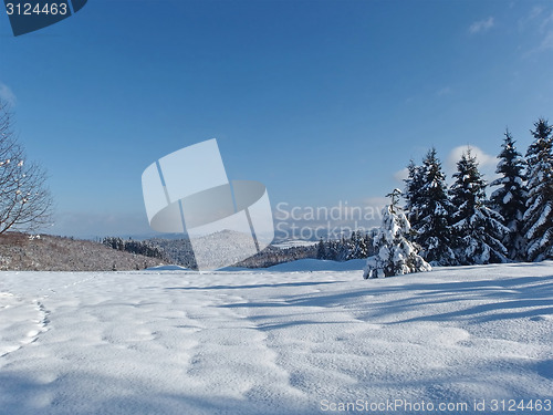 Image of Winter landscape