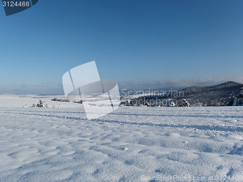 Image of Winter landscape