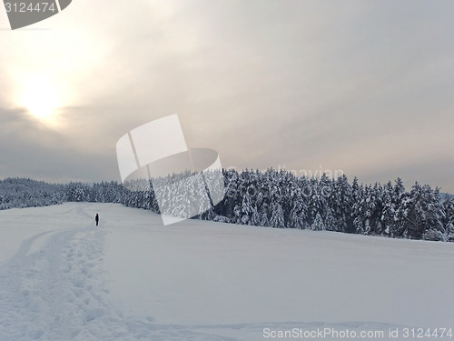 Image of Winter landscape