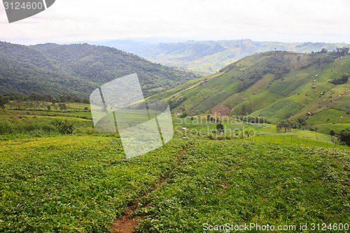 Image of fields in the mountains