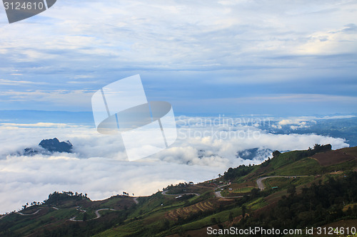 Image of sea of fog with forests as foreground