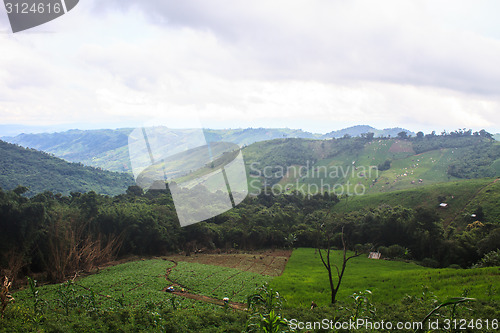 Image of fields in the mountains