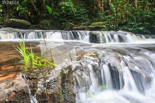 Image of waterfall and rocks covered with moss