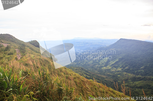 Image of  green mountains and forest on top veiw