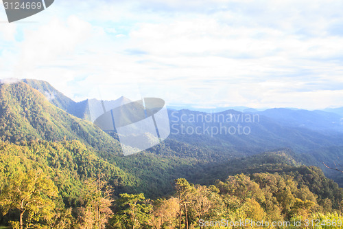 Image of  green mountains and forest on top veiw