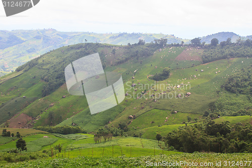 Image of fields in the mountains