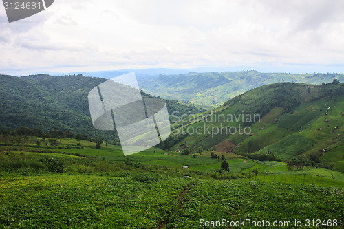 Image of fields in the mountains