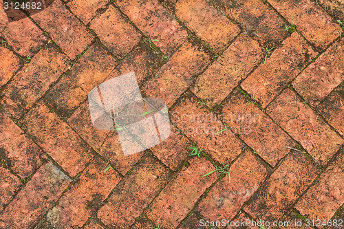 Image of old red brick floor with moss 