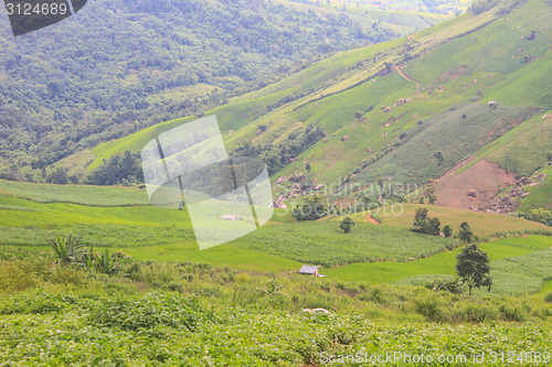 Image of fields in the mountains