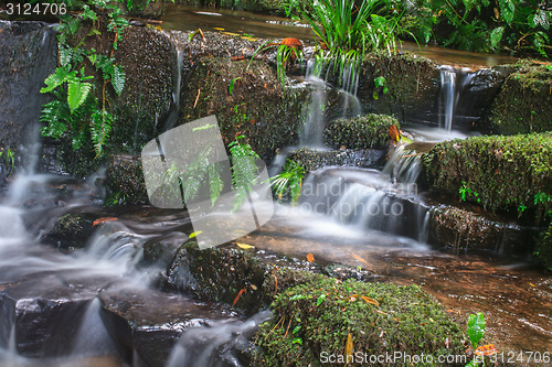 Image of waterfall and rocks covered with moss