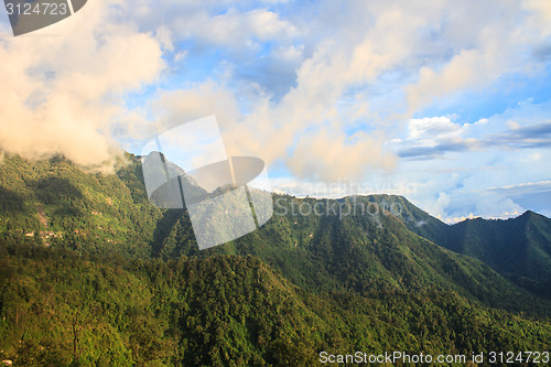 Image of  green mountains and forest on top veiw