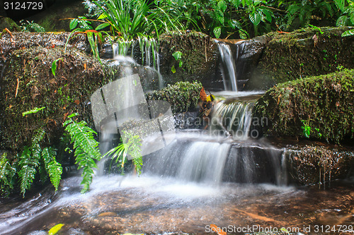 Image of waterfall and rocks covered with moss