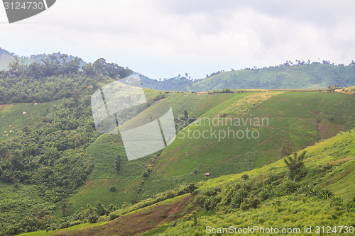 Image of fields in the mountains