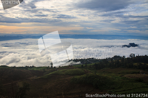 Image of sea of fog with forests as foreground