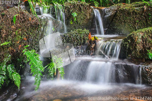 Image of waterfall and rocks covered with moss