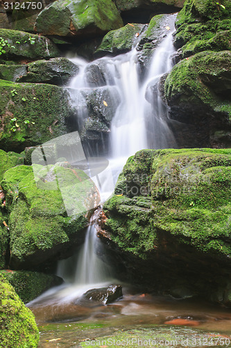 Image of waterfall and rocks covered with moss