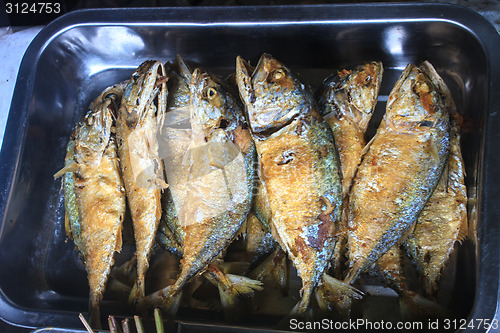 Image of Fresh mackerel fried in a plat