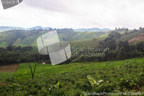 Image of fields in the mountains