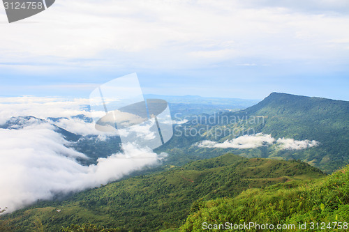 Image of sea of fog with forests as foreground