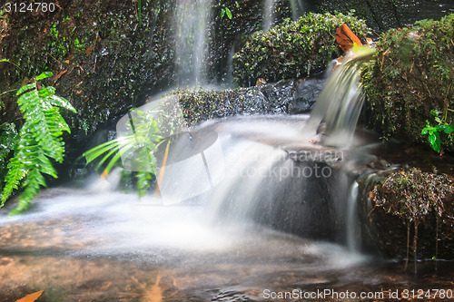 Image of waterfall and rocks covered with moss