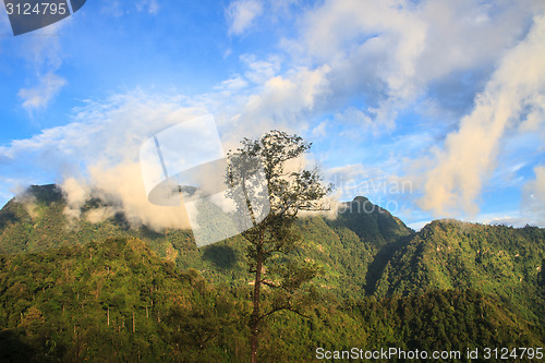 Image of  green mountains and forest on top veiw